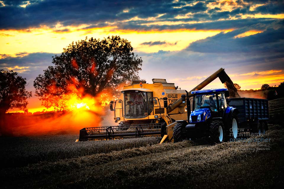 Combine Harvester in field at sunset